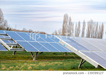 Calm sunset casts golden light on solar modules amidst tranquil grassland and slender trees 139399127