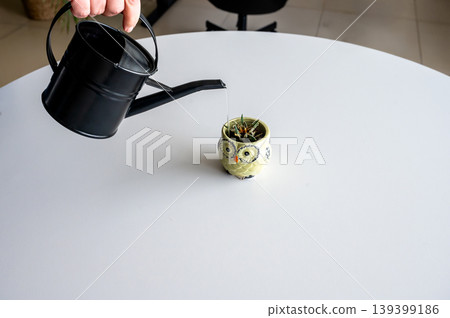 Bright tabletop contrasts with dark watering tool in documentarystyle plant care scene Bright tabletop contrasts with dark watering tool in documentarystyle plant care scene 139399186