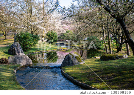 Relaxing garden environment with gentle water currents and vibrant blooming trees all around Relaxing garden environment with gentle water currents and vibrant blooming trees all around 139399199