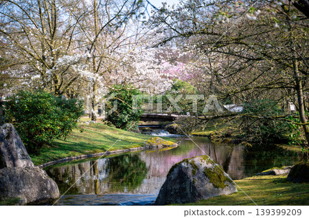 Japanese garden with peaceful features. Tranquil Japanese garden showcasing natural beauty 139399209