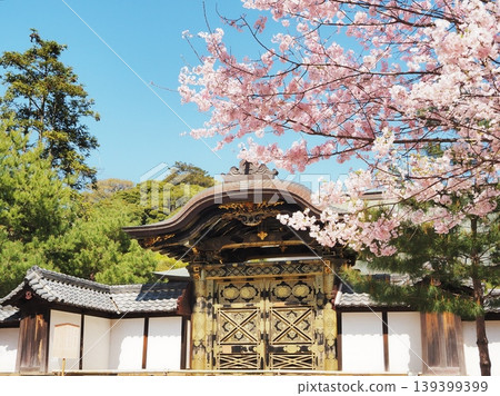 四月,神奈川縣建長寺唐門,櫻花盛開,櫻花盛開。 四月,神奈川縣建長寺唐門,櫻花盛開,櫻花盛開。 139399399