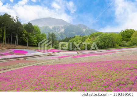 Spring scenery of moss phlox and Mount Bukō at Hitsujiyama Park in Chichibu, Saitama Prefecture. Spring scenery of moss phlox and Mount Bukō at Hitsujiyama Park in Chichibu, Saitama Prefecture. 139399505