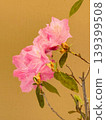 The cutest flower of spring 139399508