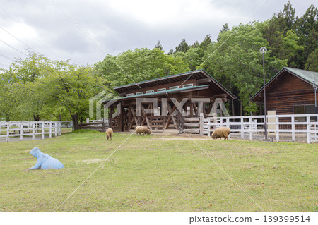 Chichibu Hitsujiyama Park: Sheep and natural scenery in the pasture area. Chichibu Hitsujiyama Park: Sheep and natural scenery in the pasture area. 139399514