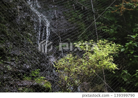 Shasui Falls (Yamashita Town, Ashigarakami District, Kanagawa Prefecture) - A waterfall flowing from the cliff beside it. 139399790