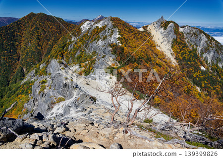 從南阿爾卑斯山脈鳳王三山觀音嶽山脊上看到的赤貫澤之魂和地藏岳的秋葉。 從南阿爾卑斯山脈鳳王三山觀音嶽山脊上看到的赤貫澤之魂和地藏岳的秋葉。 139399826