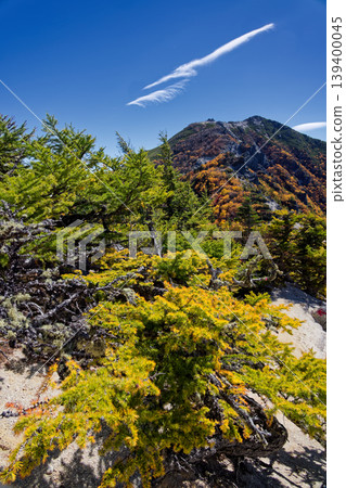 The autumn foliage of larch trees at Akabukizawa-no-atama on the Houou Sanzan mountain range in the Southern Alps, and Mount Kannon. 139400045
