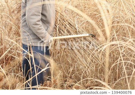Cutting thatch Cutting thatch 139400076
