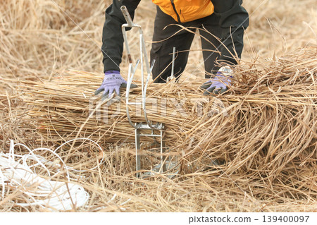 Making thatch bundles Making thatch bundles 139400097