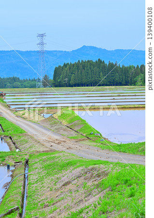 位於多馬高原腳下的梯田:春意盎然的鄉村景色,新潟縣十日町市 位於多馬高原腳下的梯田:春意盎然的鄉村景色,新潟縣十日町市 139400108