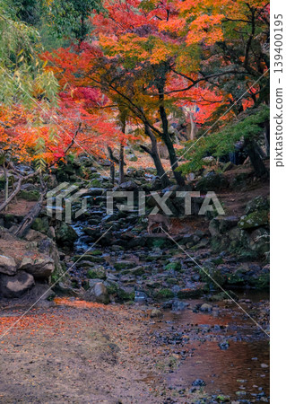 Autumn River View at Ukigumo Rest Area Nov 27 2025 Autumn River View at Ukigumo Rest Area Nov 27 2025 139400195