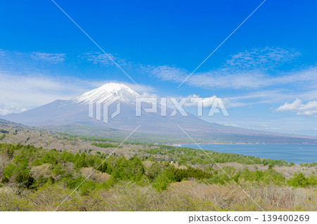 A panoramic view of Lake Yamanaka and Mount Fuji, under a blue sky and surrounded by the expansive nature of spring. A panoramic view of Lake Yamanaka and Mount Fuji, under a blue sky and surrounded by the expansive nature of spring. 139400269