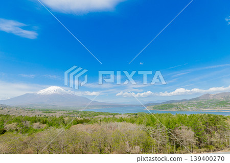 A panoramic view of Lake Yamanaka and Mount Fuji, under a blue sky and surrounded by the expansive nature of spring. A panoramic view of Lake Yamanaka and Mount Fuji, under a blue sky and surrounded by the expansive nature of spring. 139400270