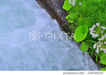 Snowmelt water at the foot of Toma Plateau, rice planting season, Tokamachi City, Niigata Prefecture Snowmelt water at the foot of Toma Plateau, rice planting season, Tokamachi City, Niigata Prefecture 139400291