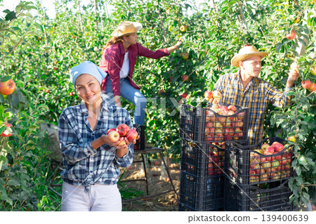 Satisfied Asian woman farmer showing freshly picked pples in garden Satisfied Asian woman farmer showing freshly picked pples in garden 139400639