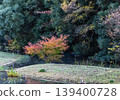 Autumn leaves coloring the waterside 139400728