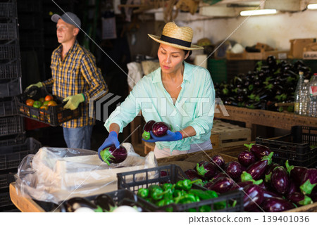 Asian woman farmer sorts the collected eggplants in the warehouse, putting them in a crate 139401036