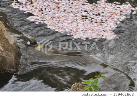 春天結束 139401668