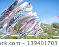 Carp streamers swimming in the blue sky: A scene from Children's Day and a spring tradition in Japan. 139401703