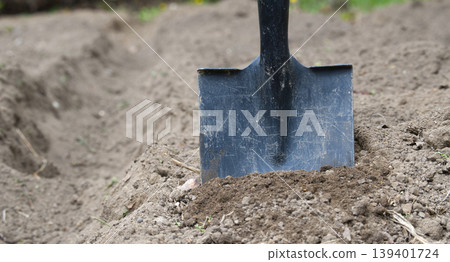 Shovel Digging Into Fresh Soil In Garden Bed Ready For Planting Vegetables Shovel Digging Into Fresh Soil In Garden Bed Ready For Planting Vegetables 139401724