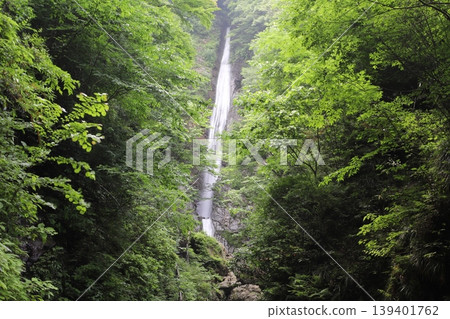 Shasui Falls as seen through the gaps in the trees (Yamashita Town, Ashigarakami District, Kanagawa Prefecture) Shasui Falls as seen through the gaps in the trees (Yamashita Town, Ashigarakami District, Kanagawa Prefecture) 139401762