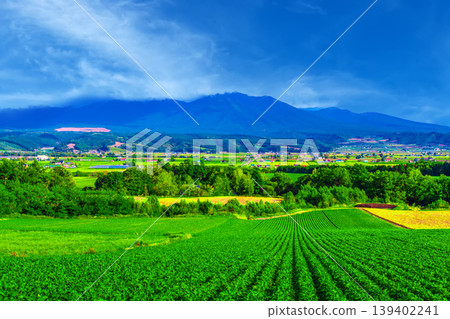 廣闊的鄉村景觀 139402241