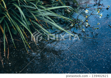 下雨天 下雨天 139402621