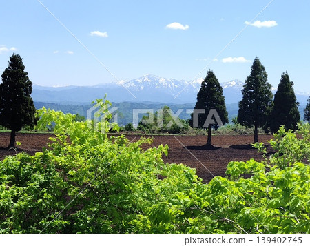 小千屋山本山高原綠意盎然,越後三山山巒間仍殘留積雪。 小千屋山本山高原綠意盎然,越後三山山巒間仍殘留積雪。 139402745