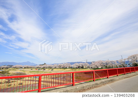 宮川市的千棵櫻花樹以及遠處福島縣磐梯山的景色 宮川市的千棵櫻花樹以及遠處福島縣磐梯山的景色 139403208
