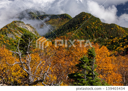 Autumn foliage and clouds rising from the mountain slopes of the Southern Alps, Houou Sanzan, and Akanukizawa-no-atama. 139403434