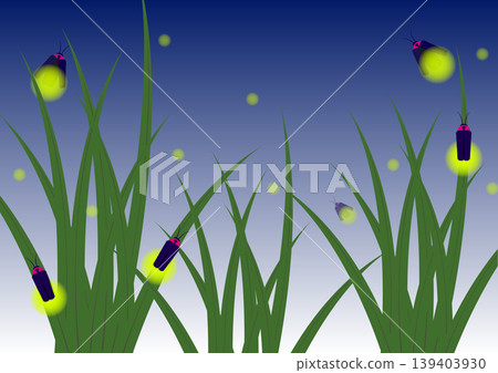 螢火蟲的光芒與夜空 螢火蟲的光芒與夜空 139403930