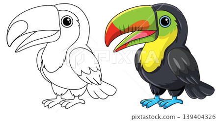 Cute Toucan Bird Vector Illustration in Color and Line Art Style Cute Toucan Bird Vector Illustration in Color and Line Art Style 139404326