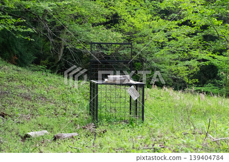 Image of a wild boar trap Image of a wild boar trap 139404784