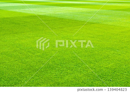 Paloma Mizuho Stadium pitch grass Paloma Mizuho Stadium pitch grass 139404823