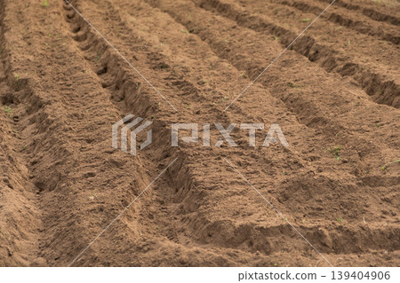 Image of furrows in a tilled field 139404906