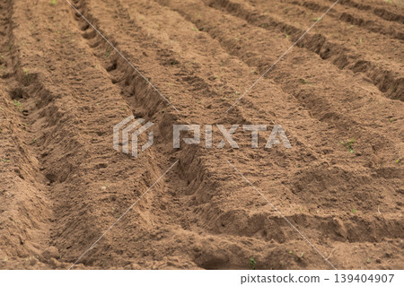 Image of furrows in a tilled field 139404907