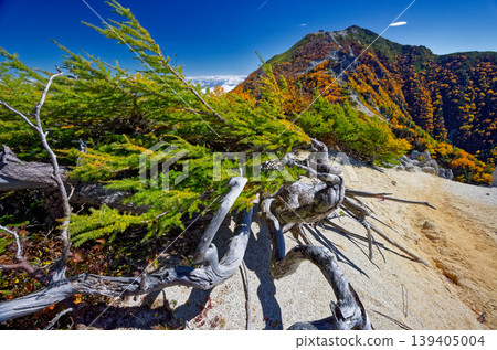 Autumn foliage on Mt. Kannon as seen from the Akanukizawa-no-atama ridge of the Southern Alps' Houou Sanzan. 139405004