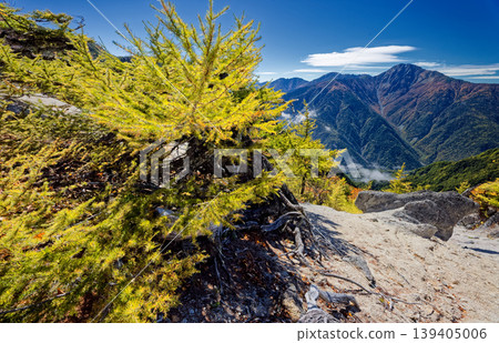 The autumn foliage of larch trees on the ridge of the Houou Sanzan and Akanukizawa-no-atama in the Southern Alps, and the Shiramine Sanzan The autumn foliage of larch trees on the ridge of the Houou Sanzan and Akanukizawa-no-atama in the Southern Alps, and the Shiramine Sanzan 139405006