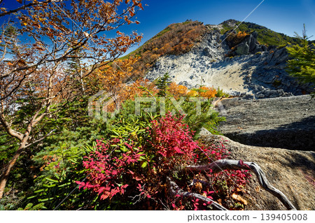 Autumn foliage in the Southern Alps: Houou Sanzan and Kannon-dake Autumn foliage in the Southern Alps: Houou Sanzan and Kannon-dake 139405008