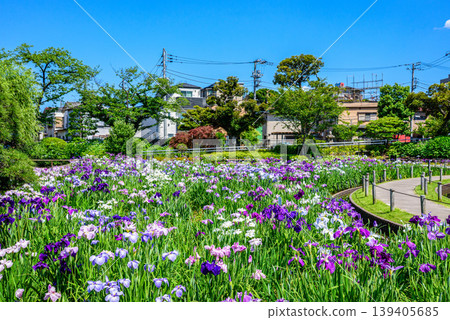 東京都葛飾區堀切菖蒲花園 東京都葛飾區堀切菖蒲花園 139405685