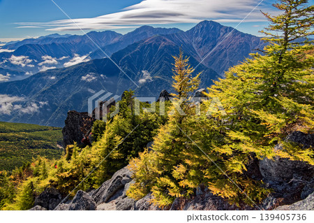 南阿爾卑斯山脈觀音山和鳳凰山的落葉松秋色,以及白峰三峰。 南阿爾卑斯山脈觀音山和鳳凰山的落葉松秋色,以及白峰三峰。 139405736
