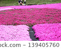 Park with moss phlox 139405760