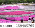 Park with moss phlox 139405765