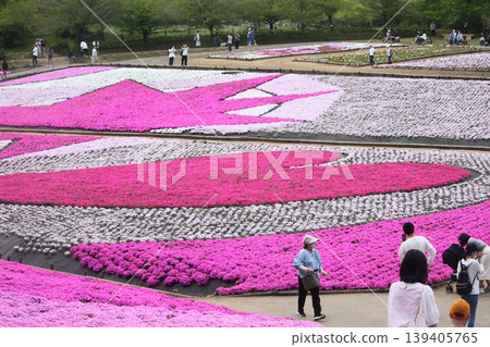 公園與苔蘚福祿考 公園與苔蘚福祿考 139405765