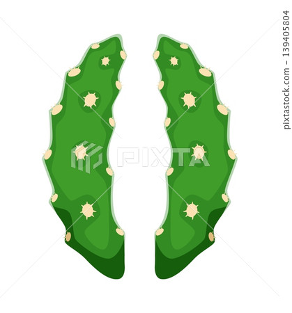 Cacti prickly plant, cactus font punctuation parentheses. Mexican cacti font sign, desert succulent typeface vector punctuation mark. Prickly cactus typeset special symbol or plant leaf element 139405804