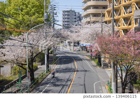 新尾梅街道上櫻花盛開，車水馬龍 [城市景觀] 139406115