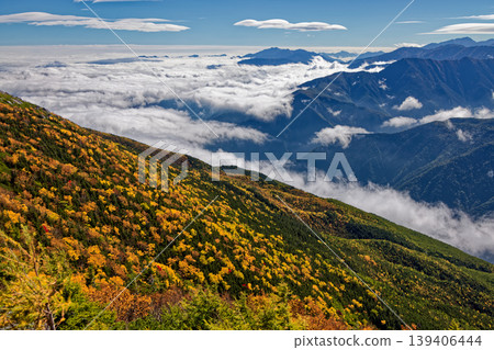 從南阿爾卑斯山後王山山脈的觀音山上,可以看到覆蓋著泛黃樺樹葉的山坡和雲海。 從南阿爾卑斯山後王山山脈的觀音山上,可以看到覆蓋著泛黃樺樹葉的山坡和雲海。 139406444