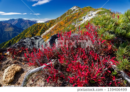 Autumn foliage of the Southern Alps, Houou Sanzan, and Yakushidake, and views of Kannondake and Senjogatake. Autumn foliage of the Southern Alps, Houou Sanzan, and Yakushidake, and views of Kannondake and Senjogatake. 139406499