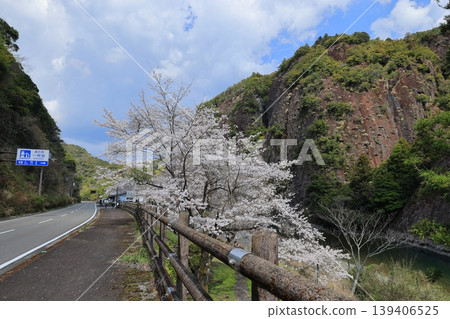 A landscape of a single large rock in Kozagawa Town, Wakayama Prefecture 139406525