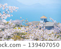 海和櫻桃樹 139407050